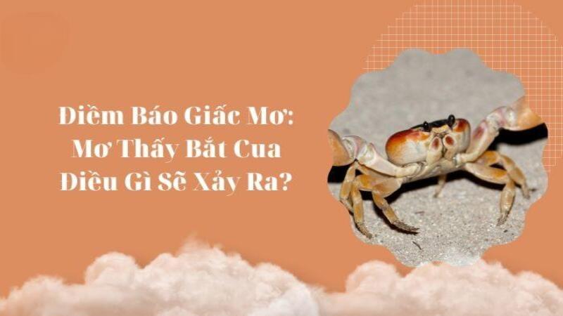 Cùng giải mã ý nghĩa giấc mơ bắt cua siêu chuẩn từ chuyên gia