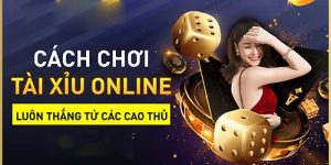 Thông Tin Chi Tiết Luật Chơi Tài Xỉu Online Hiện Hành