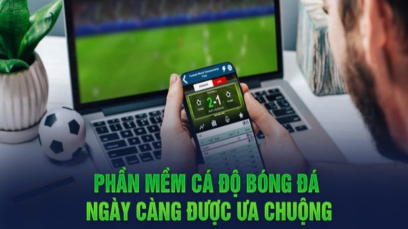 Tổng Hợp Các Phần Mềm Cá Độ Bóng Đá Thịnh Hành Và Hiệu Quả