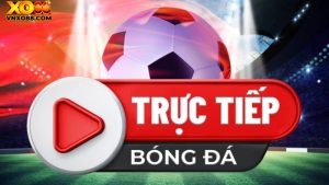 Thể Thao xo88 - Thiên Đường Cá Cược Đổi Thưởng Của Bet Thủ